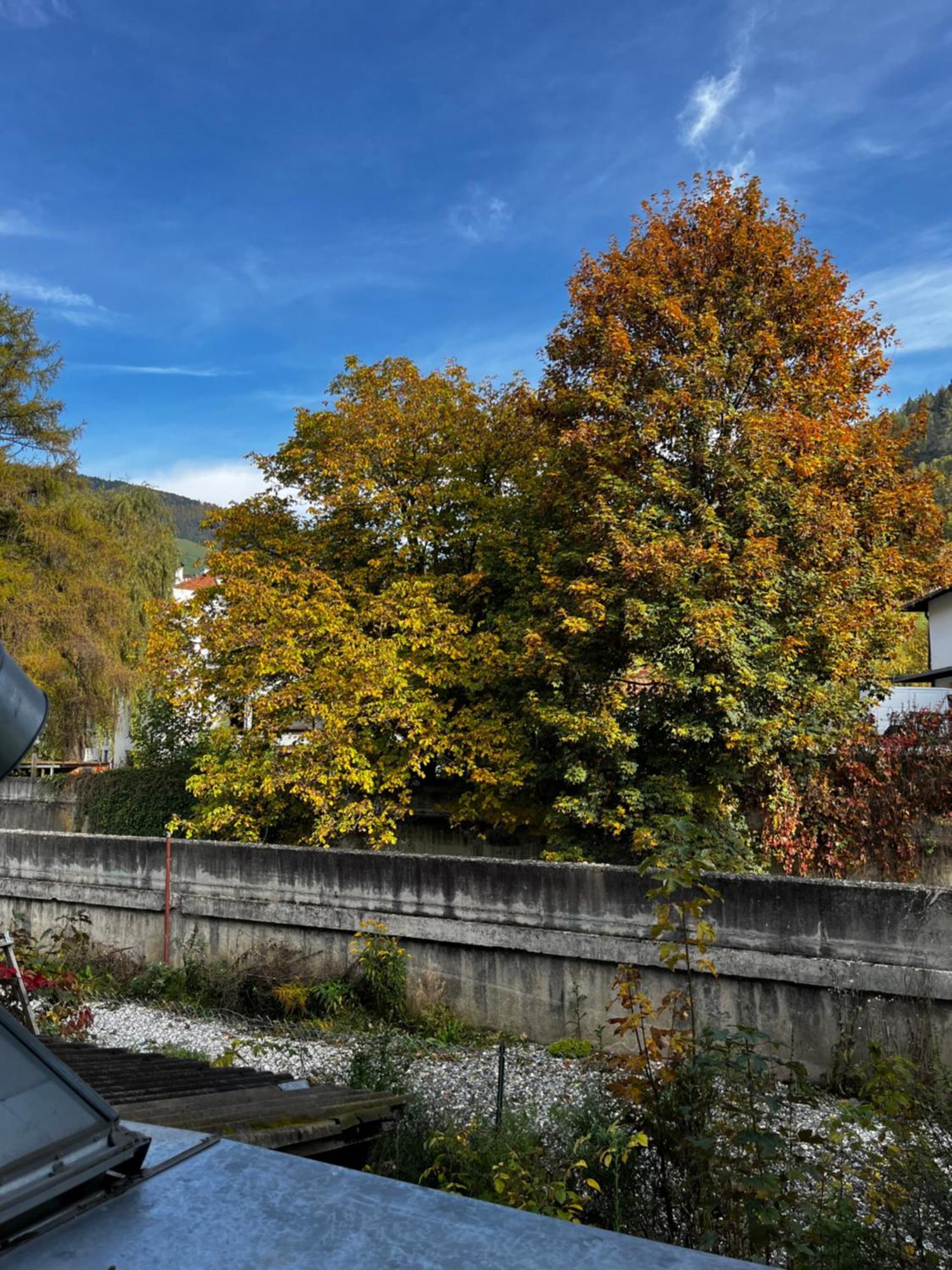 Gasthof Sterzingerhof Bagian luar foto